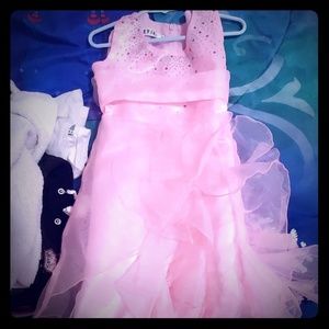 2t pink beauty dress